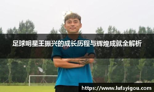 足球明星王振兴的成长历程与辉煌成就全解析